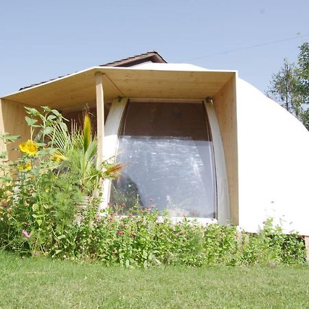 Rose-Marie'S Paradies Apartament Aesch Zewnętrze zdjęcie