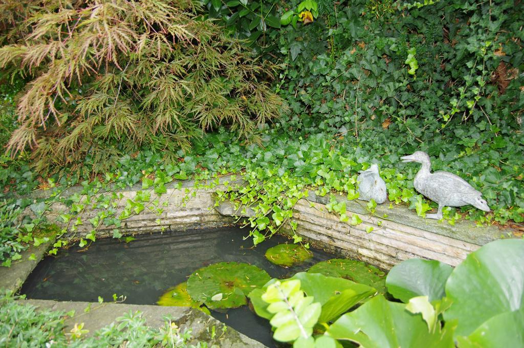 Rose-Marie'S Paradies Apartament Aesch Zewnętrze zdjęcie